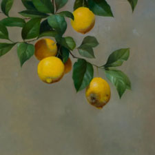 Painting of lemons on a tree branch.